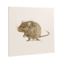 Load image into Gallery viewer, Brown Rat Canvas Print

