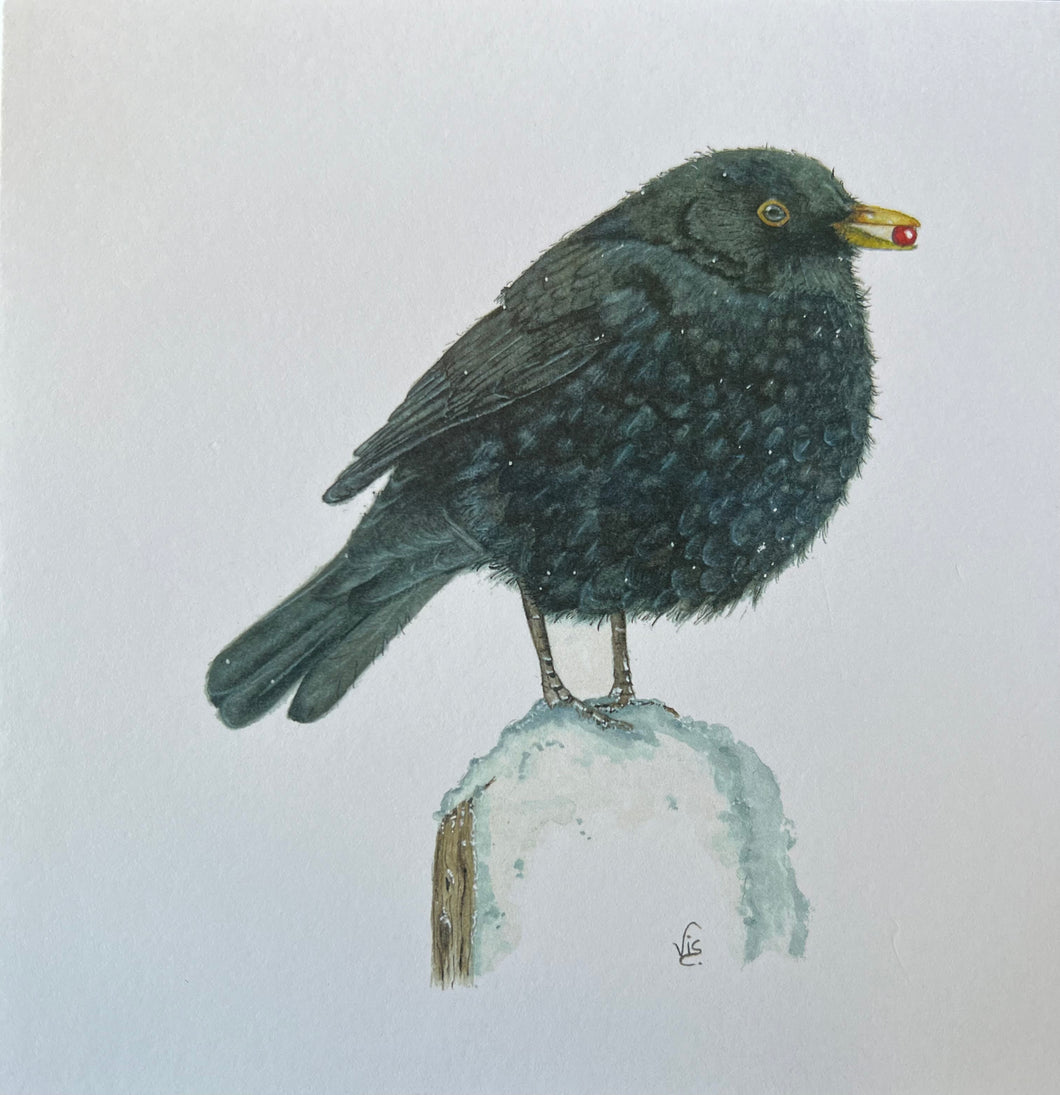 Blackbird with berry greetings card