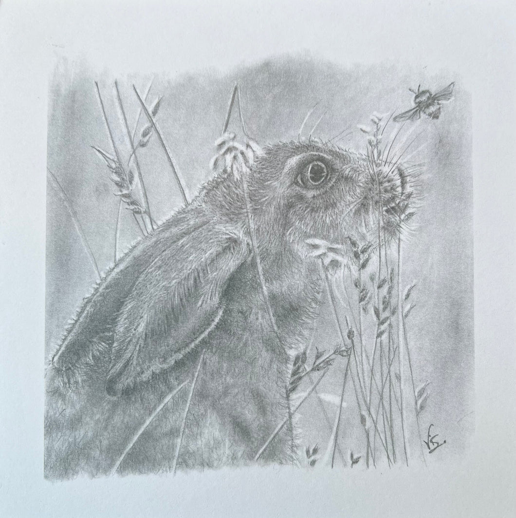 Graphite Hare greetings card