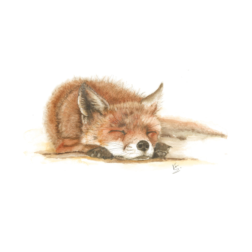 Sleepy Head Fox