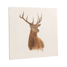 Load image into Gallery viewer, Stag Canvas Print
