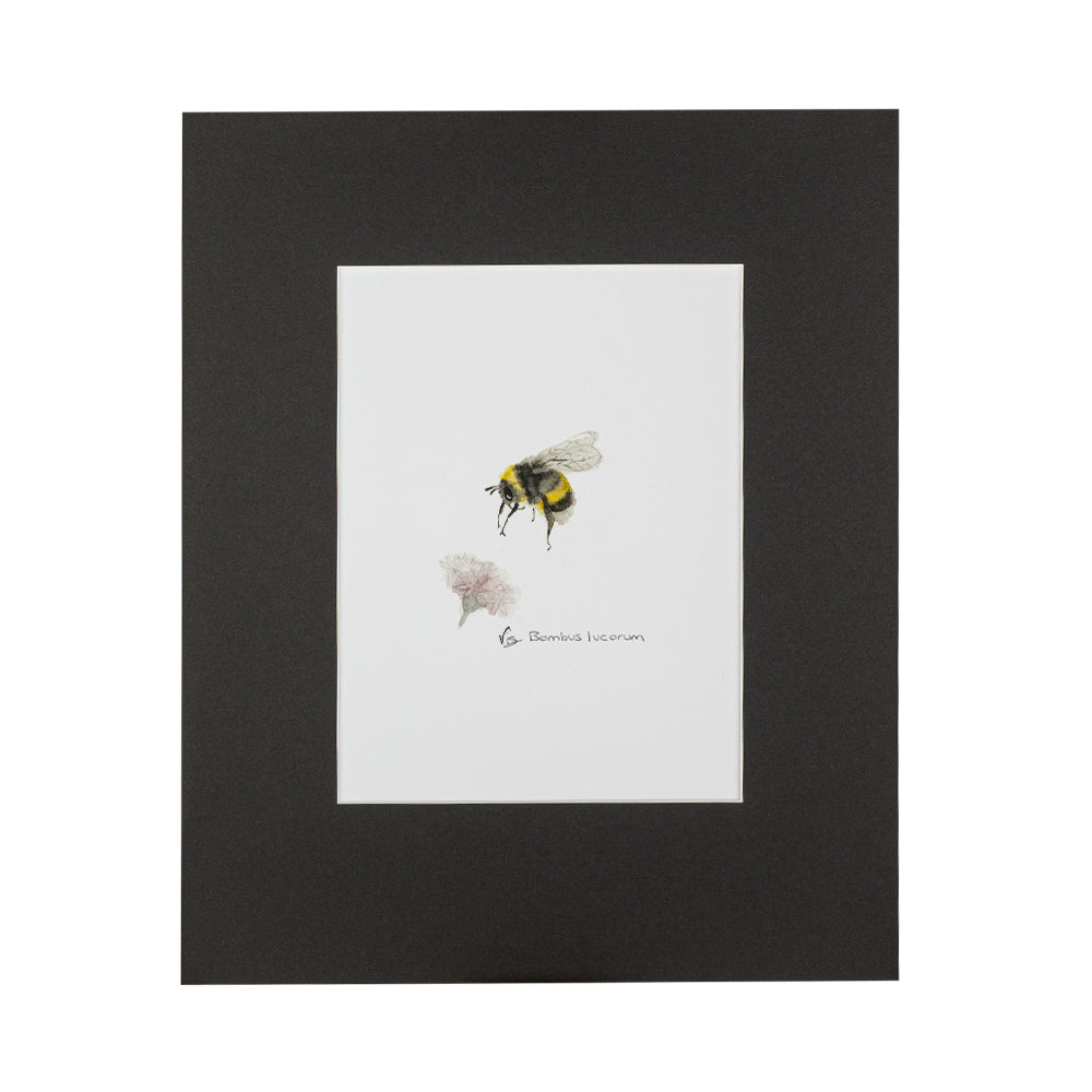 bumblebee bee print