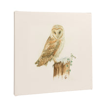 Load image into Gallery viewer, Barn Owl Canvas Print
