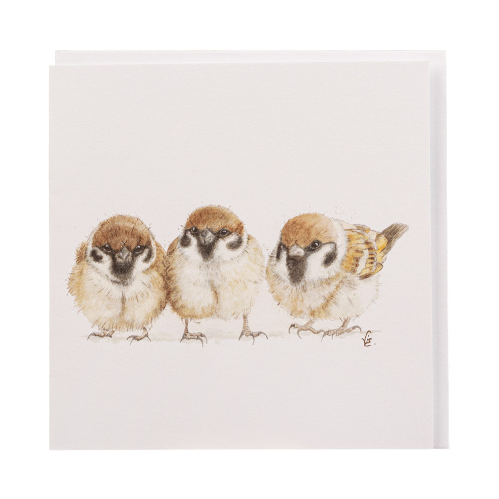 Sparrows Greetings Card