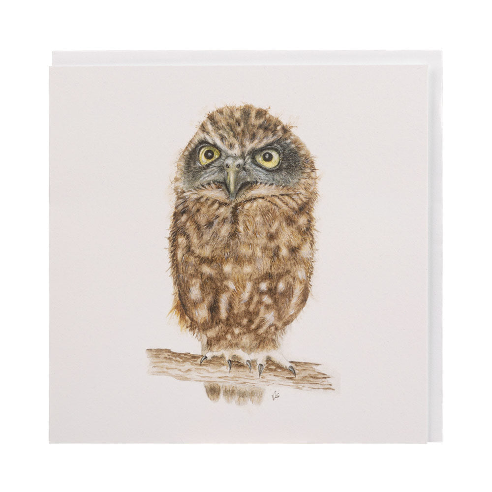 Boobook Owl Greetings Card