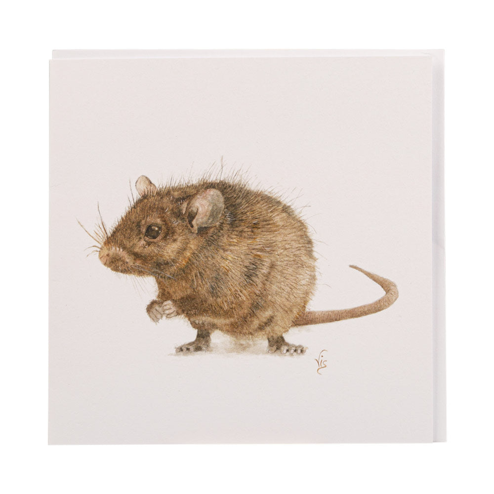 Brown Rat Greetings Card