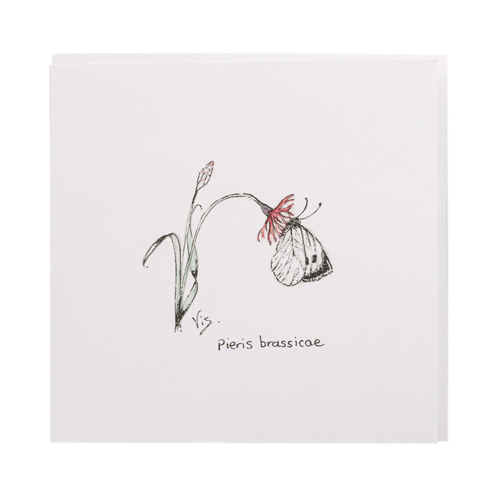Cabbage White Greetings Card