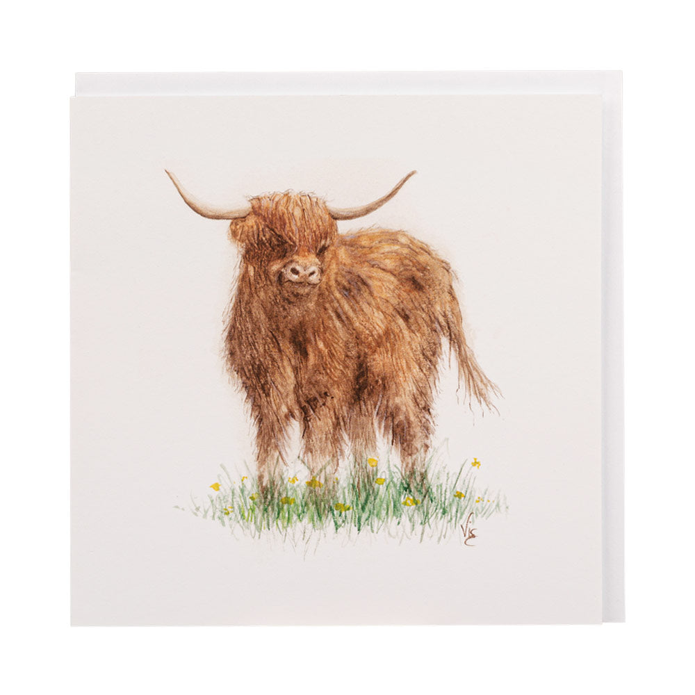 Highland Cow Greetings Card