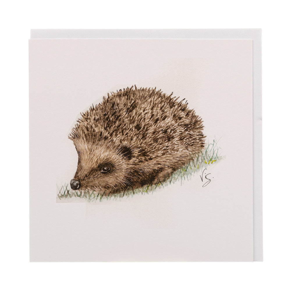 Hedgehog Greetings Card