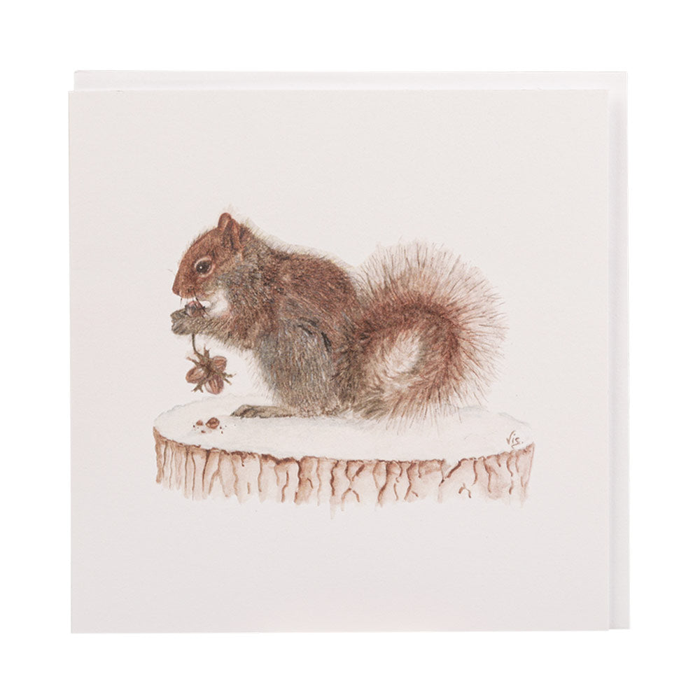 Squirrel Greetings Card