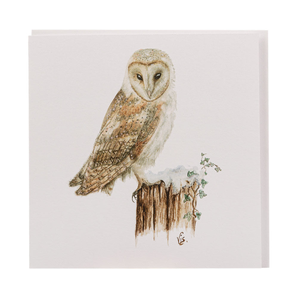 Barn Owl Greetings Card