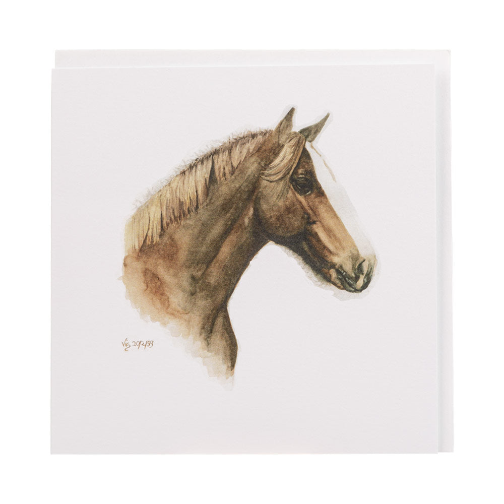 Old Chestnut Mare Greetings Card