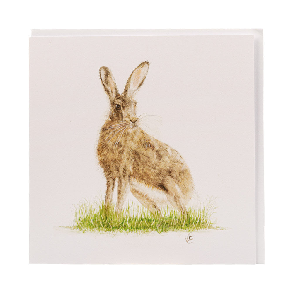 Hare Greetings Card